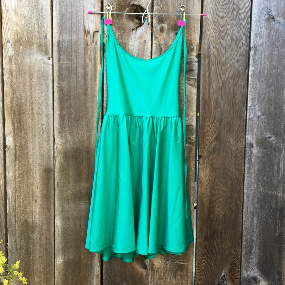 American Apparel Skater Dress